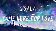 Sigala, Ella Eyre - Came Here For Love (Lyrics / Lyric Video) - YouTube