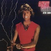Andy - After Dark - Bee Gees BR