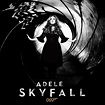 Adele - Skyfall - Orkestbandjes.nl