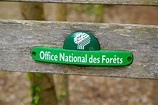 Office National Des Forets French Panel of the ONF National Forestry ...
