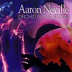 Aaron Neville : Orchid in the Storm [Bonus Tracks] CD (2003) - Sin ...