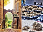 Autumn delights: the white truffle festival of San Miniato / Mulberry ...
