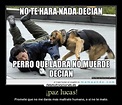 Lista 93+ Foto Cuáles Son Los Perros Más Bravos Alta Definición ...