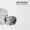 Amy Wadge - Walking Disaster Lyrics | AZLyrics.com