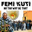 Na Their Way Be That (Radio Edit) - Single by Femi Kuti | Spotify
