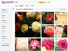 Yahoo Search Adds Reusable Images from Flickr, Hides the Fact that They ...