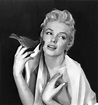 Marilyn Monroe Collection — Marilyn Monroe photographer by Cecil Beaton ...