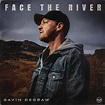 Gavin Degraw (Face The River) Album Cover Poster - Lost Posters