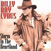 Billy Ray Cyrus - Storm In The Heartland (1994, CD) | Discogs
