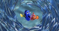 Alla ricerca di Nemo: il nuovo trailer | CineZapping