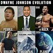 The best Dwayne "The Rock" Johnson memes to ever exist on the internet ...