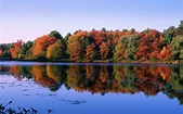Celebrate Henry David Thoreau's 200th Birthday With a Visit to Walden ...