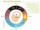 Tapas de Ciencia: Cómo los ritmos circadianos marcan nuestra vida