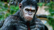 Slideshow: Every Major Ape in the Planet of the Apes Trilogy