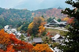 Visiter Nara et sa région, destination incontournable du Japon