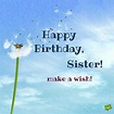 Birthday Wishes for Sister Pictures, Images, Graphics for Facebook ...