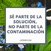 Arriba 35+ imagen refranes para cuidar el medio ambiente - Viaterra.mx