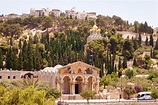 In the Footsteps of Messiah: The Mount of Olives | Messianic Bible