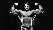 Arnold Gym Wallpapers - Wallpaper Cave
