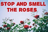 Poem: Stop and Smell The Roses | LetterPile