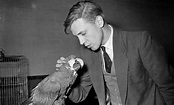 Sir David Attenborough in the late 1950s | David attenborough young ...