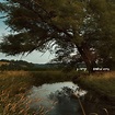 Hundred Acres - Album by S. Carey | Spotify
