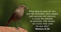 Mateus 6:26 - Versículo da Bíblia - DailyVerses.net