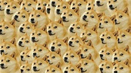 Doge Meme Wallpaper (85+ images)