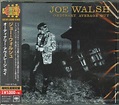 Joe Walsh - Ordinary Average Guy (2018, CD) | Discogs