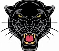 Black Panther Face PNG Illustration 24391683 PNG