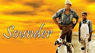 Sounder - Movie - Where To Watch
