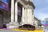 Les 10 expositions incontournables de la rentrée à Paris ! - Paris Secret