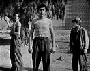 "Los olvidados" (1950,Luis Buñuel) | Cinema film, Film, Classic movies