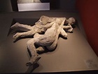 These Are the New Bodies of Pompeii - Owlcation