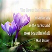 The flower that blooms in adversity is the rarest and most beautiful of ...