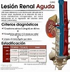 Lesión renal aguda | Medicina de urgencias, Medicina, Estudiante de ...