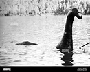Ungeheuer von Loch Ness Film Loch Ness Monster Horror Stockfotografie ...