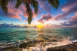 10 Reasons to Visit Hawaii - WorldAtlas