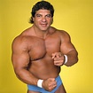 Happy Birthday to WWE Hall of Famer, Don Muraco! HappyBirthdayDonMuraco ...
