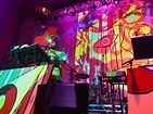 Finding order in the surreal - Animal Collective, gig review | The ...
