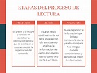 Etapas Del Proceso De La Lectura - kulturaupice