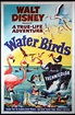 Water Birds - Película 1952 - Cine.com