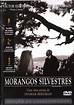 Filme do Dia: Morangos Silvestres (1957), Ingmar Bergman