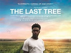 The Last Tree - is it a Attenborough documentary about the environment?