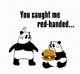 catch someone red-handedの意味と使い方 | eigo-lab(えいご研）