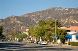 Altadena, Calif.: Open Spaces Above the Sprawl of Los Angeles - The New ...