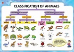 Five kingdom classification and features - Overall Science