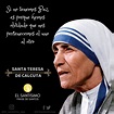 Lista 94+ Foto Frases De La Madre Teresa De Calcuta Enseñaras A Volar ...