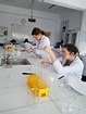 Science involves developing practical skills • International British ...