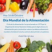 Dia mundial de la Alimentación Saludable - Mediterránea Group